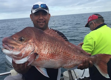 Target big Port Phillip Bay Snapper